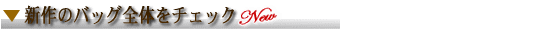 ṼobOS
