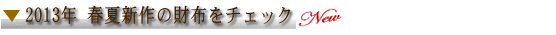 2013NtĐV̍z